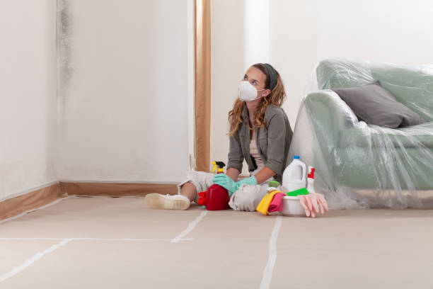 Trusted Black Mold Removal service in Montgomery Village, MD - WQB Mold Removal